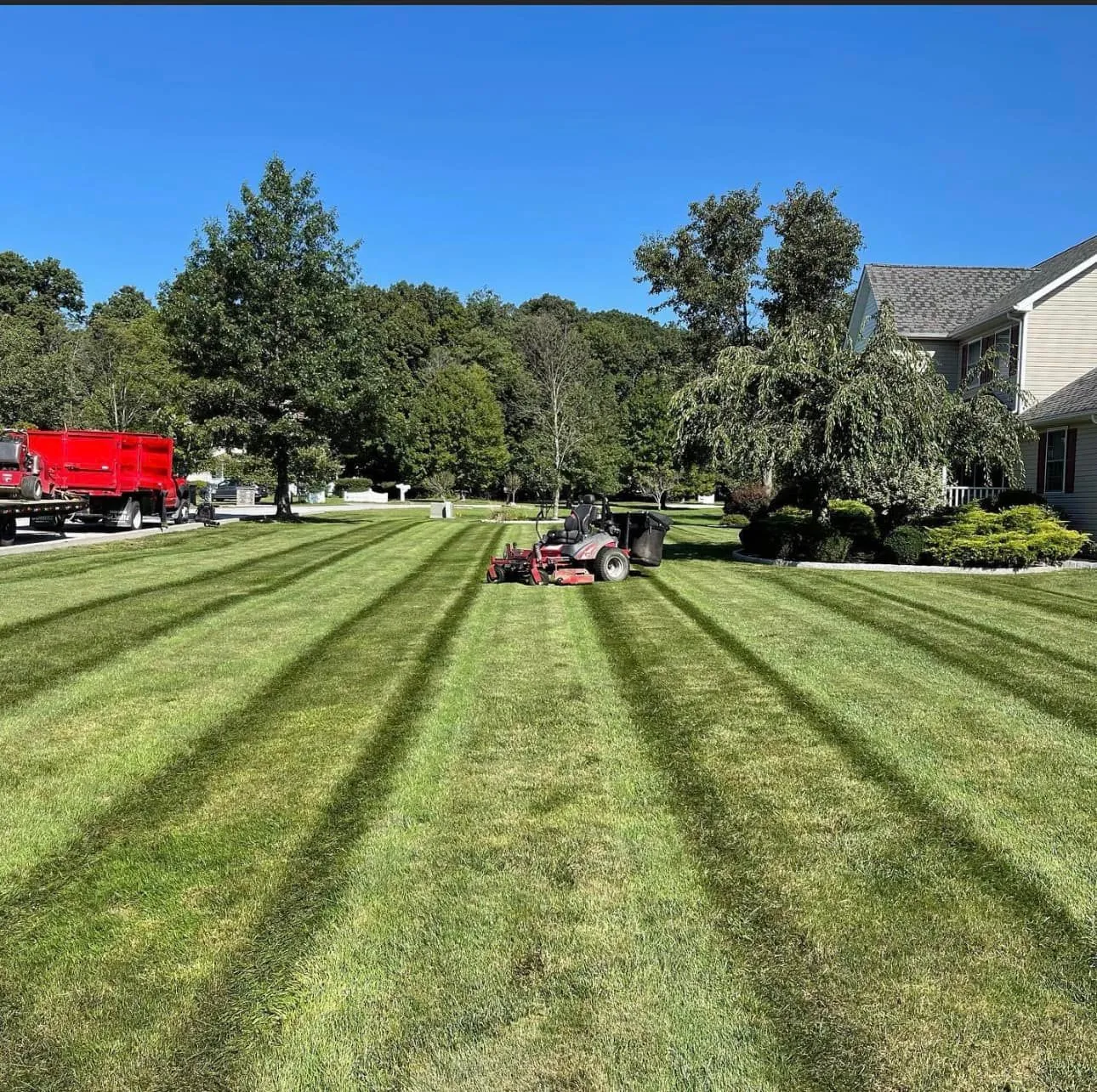 Healthy green lawn installed and maintained by Lawn Spa Landscaping